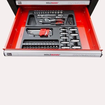 CARRO DE TALLER AMB 391 EINES HOLZMANN WW790W