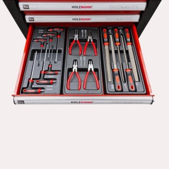 CARRO DE TALLER AMB 391 EINES HOLZMANN WW790W