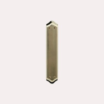 PLACA DE LIMPIEZA AITANA DE 255 X 46 mm